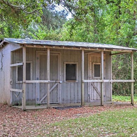 Secluded And Quiet Coastal Home 1 Mile To Boat Ramp Sealevel Exterior photo